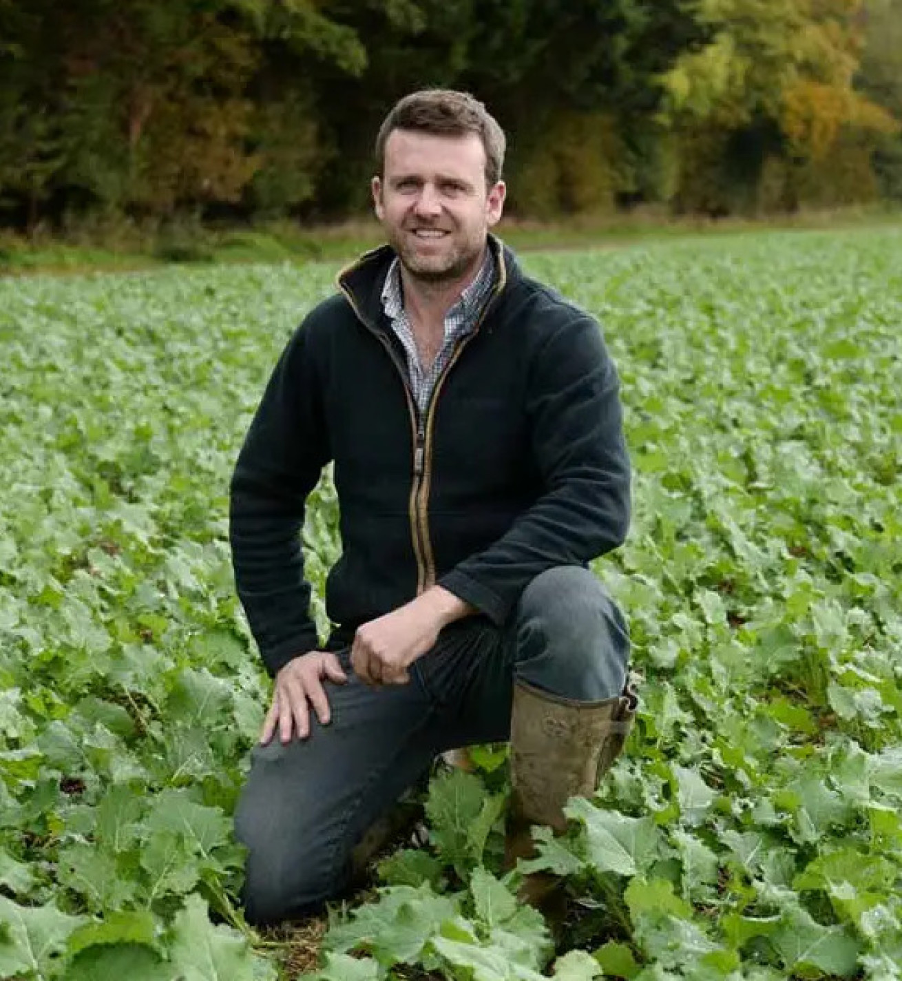 Економіка замість емоцій - ifarming.ua 